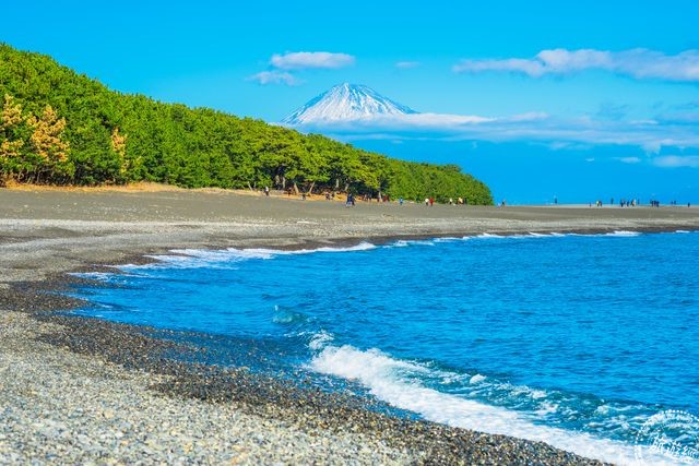 由富士山,松树林与蔚蓝海岸编织出美如画般的三保松原.